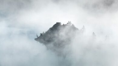 poems-about-fog