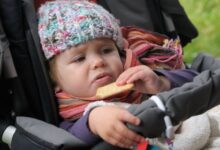baby-trivia-questions