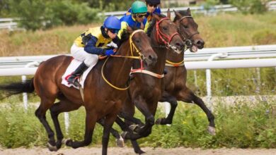 different-types-and-classes-of-horse-races-explained