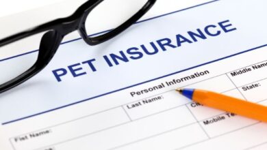 is-pet-insurance-worth-it-everything-to-know